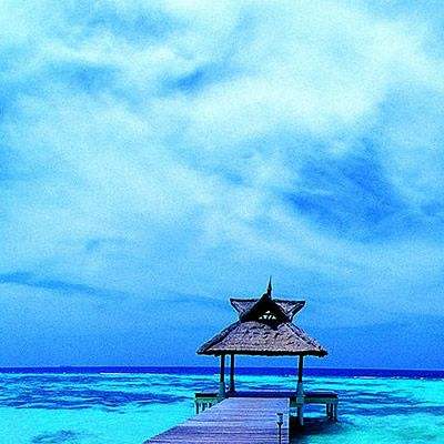 爱游戏全站APP下载app下载